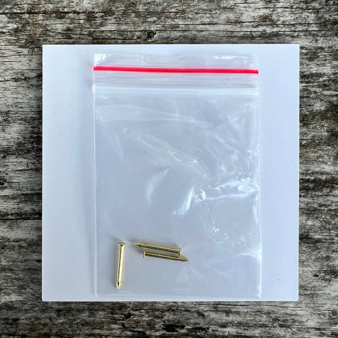 Hike Door County Hiking Stick Medallion