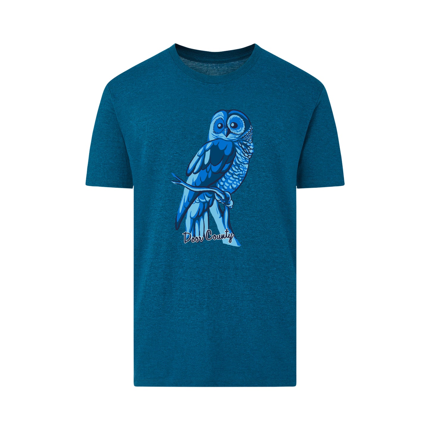DC Owl Teal Tee