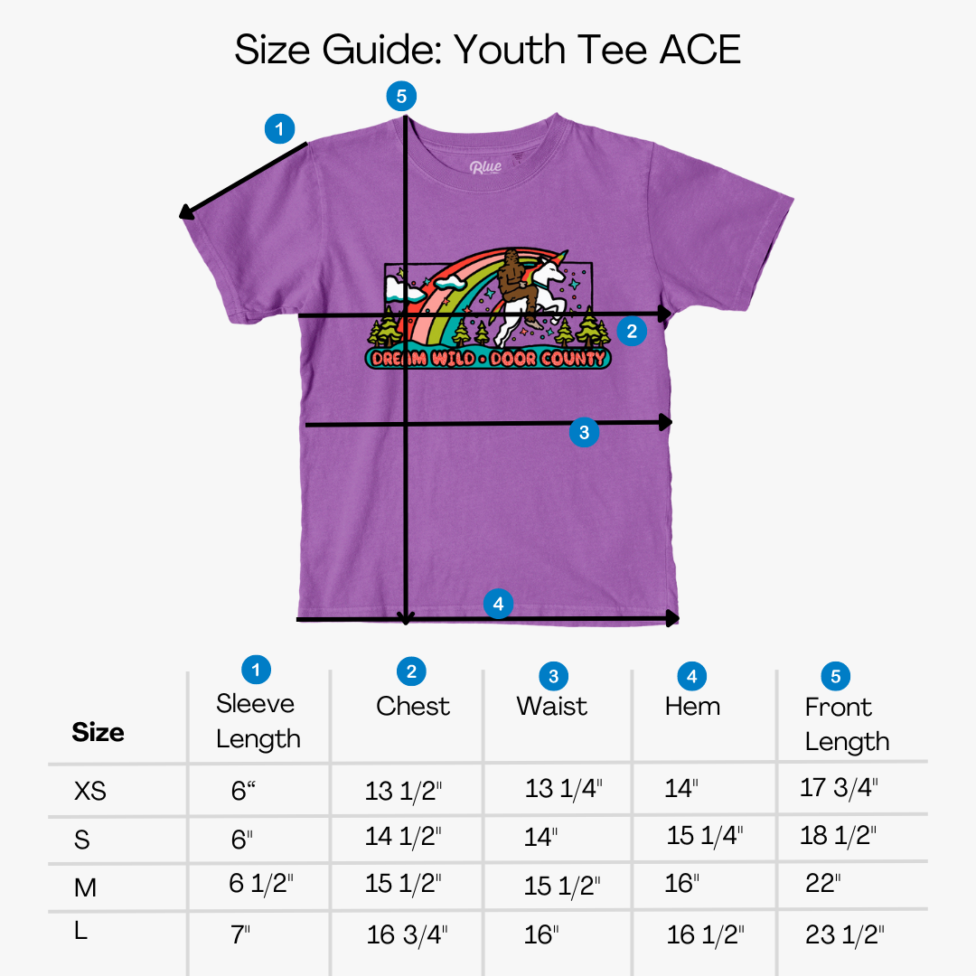 Dream Wild Door County Bigfoot Unicorn Electric Purple Youth T-shirt