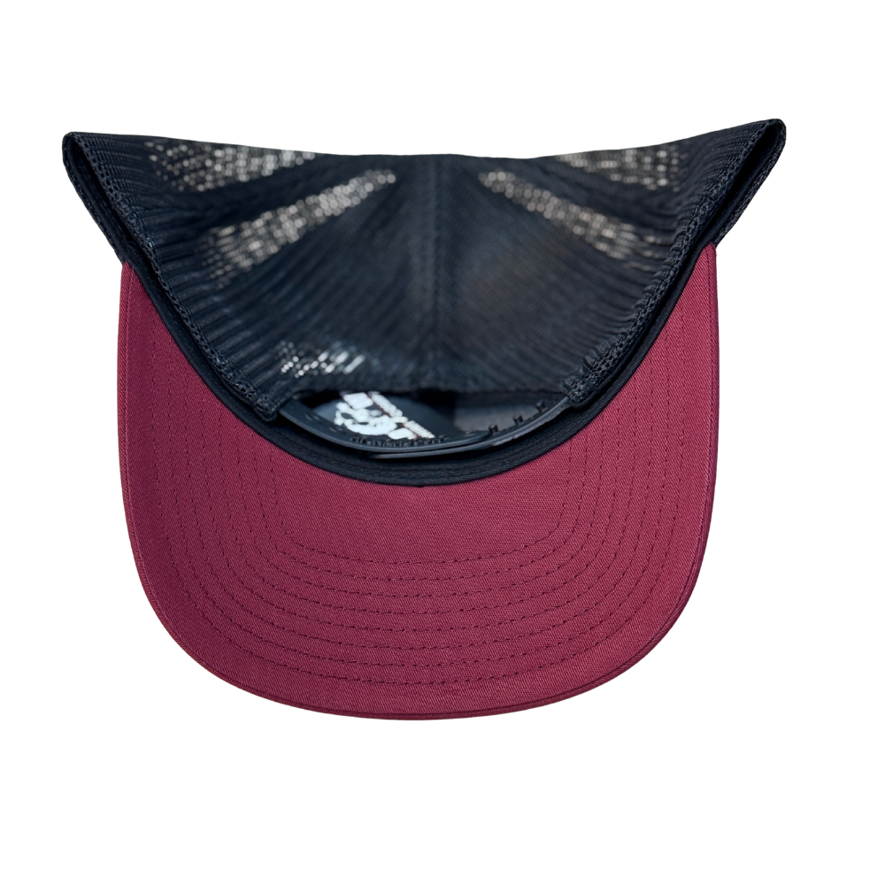 DC Diamond Leather Patch Cardinal Hat