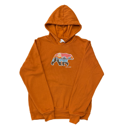 DC Embroidered Bear Autumn Hoodie