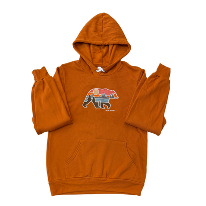 DC Embroidered Bear Autumn Hoodie
