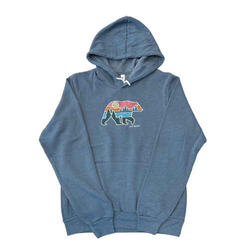 DC Embroidered Bear Slate Hoodie