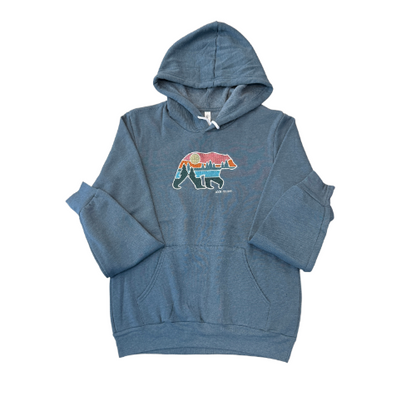 DC Embroidered Bear Slate Hoodie