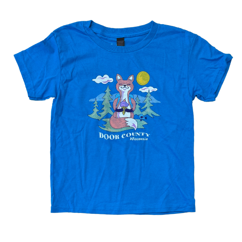 DC Fox Turquoise Youth Tee