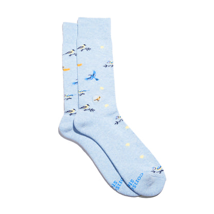 Socks That Protect Song Birds